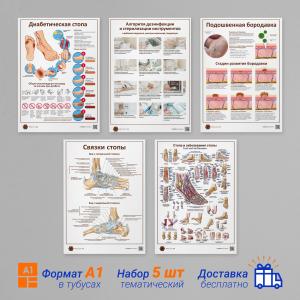 Фото - Набор плакатов 5 (в кабинет педикюра и маникюра) (формат А1)