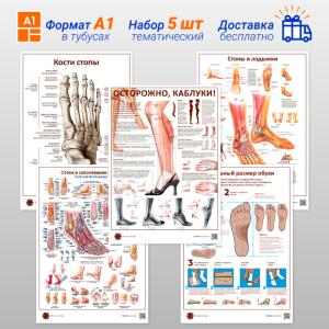 Фото - Набор плакатов 5 (в кабинет ортопеда) (формат А1)
