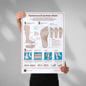 Размер обуви (плакат А1)