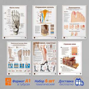 Фото - Набор плакатов 6 (в кабинет педикюра) (формат А1)