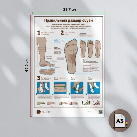 Фото - Размер обуви (плакат А3)