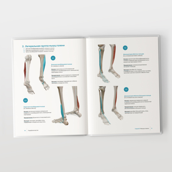 Фото - ПодоОртопластия. Ортопластия и малая ортопедия для спецов и не только…