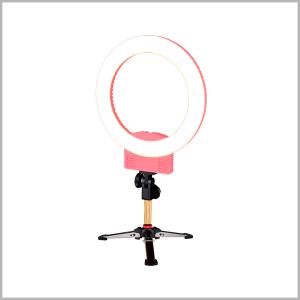 9501LED-(12) 9501LED-(12)