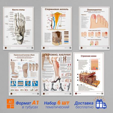 Фото - Набор плакатов 6 (в кабинет педикюра) (формат А1)