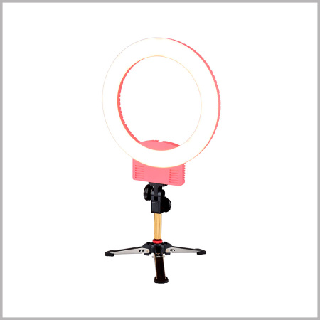 9501LED-(12) 9501LED-(12)