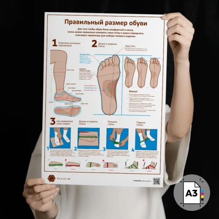 Фото - Размер обуви (плакат А3)