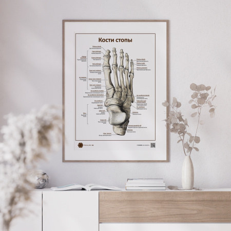 Kosti___POSTER-02___1920x1920px