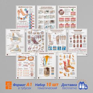 Фото - Набор плакатов 10 для подолога и ортопеда (формат А1)